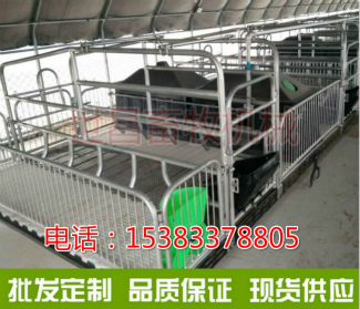 �B�i������a��ĸ�i�a��